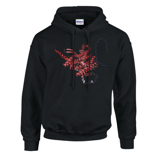 2aa24fd4-053b-4f9d-98b4-2788ff59f97e